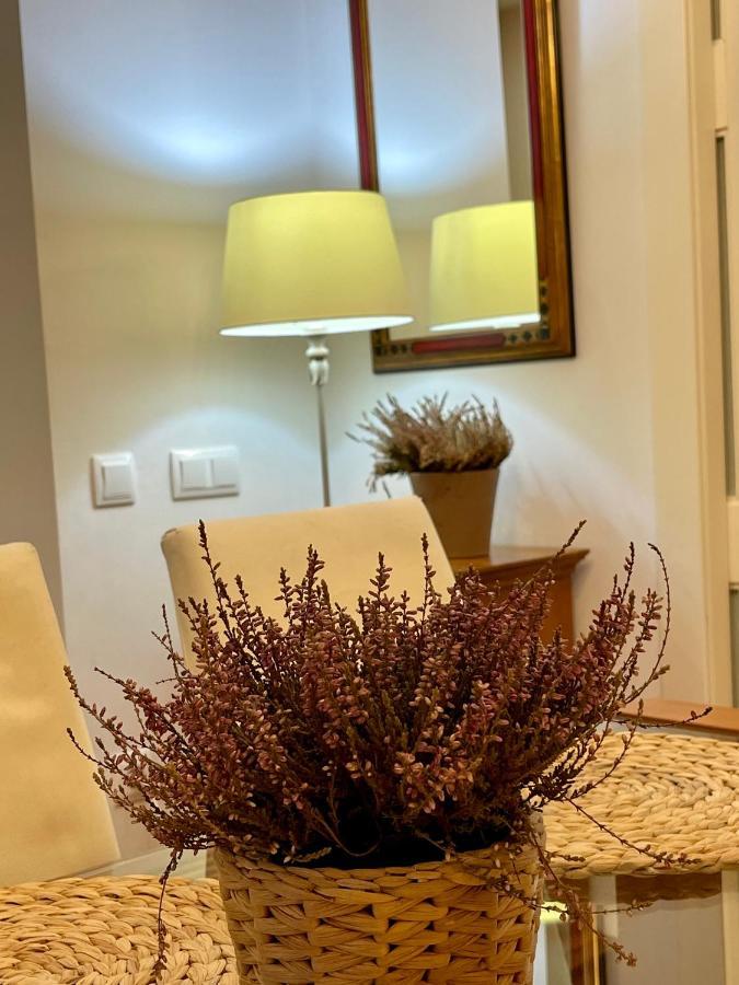 Atico Al Lado Del Ayuntamiento Apartman Oviedo Kültér fotó